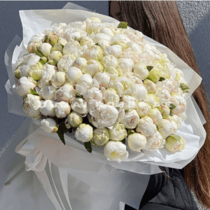 89 white peonies