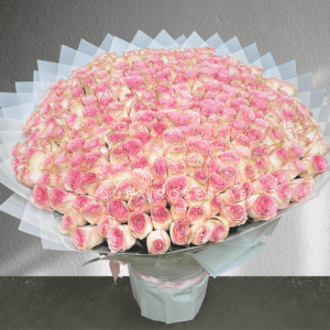 Brilliant 301 / 300 Light Pink Roses - Image 3