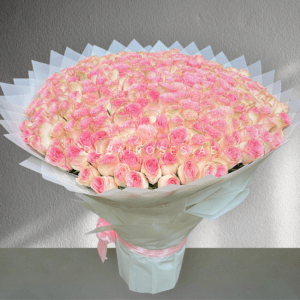 Brilliant 301 / 300 Light Pink Roses - Image 4