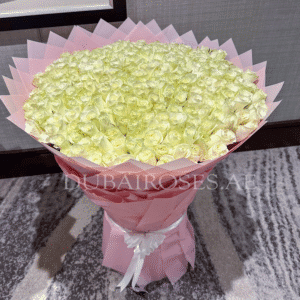 White Roses Bouquet - XXL
