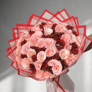 50 / 51 Red and Light Pink Roses
