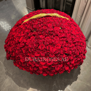 Red Roses in Basket - XXL