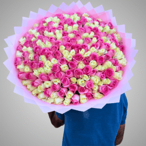 White and Pink Roses
