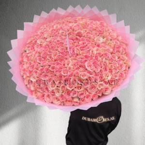 Light Pink Roses Bouquet - XXL