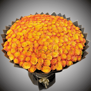Orange Roses Bouquet - XXL - Image 2