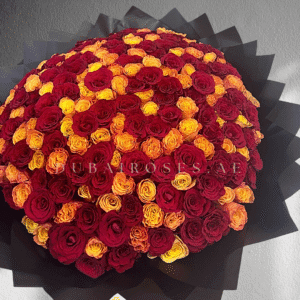 Red and Orange Roses Bouquet - XXL