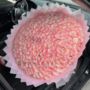 Light Pink Roses Bouquet - XXL - Image 2
