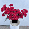 french red roses in box