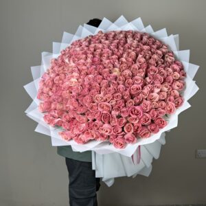 A big bouquet of 300 hermosa pink roses