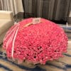 1000 pink roses in basket