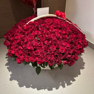 A big basket of 500 premium red roses