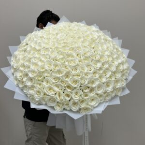 A big bouquet of 300 white roses