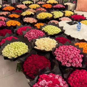 5000 mix color roses