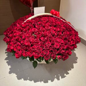 500 red roses in basket